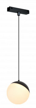 6W 3000